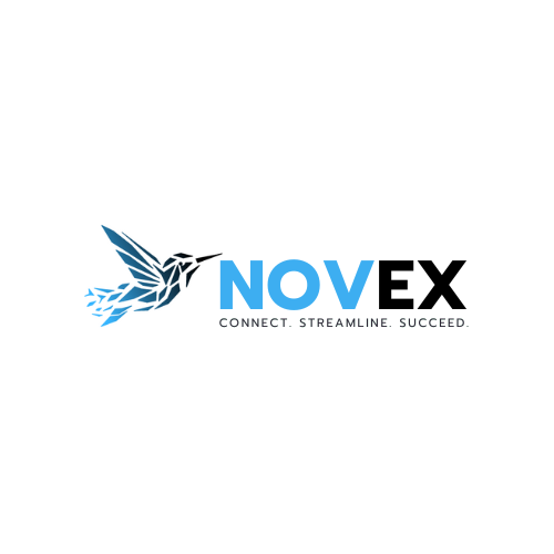 Replaceable system preview placeholder for Novex ERP